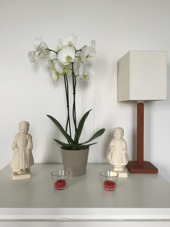 Appartement Design I - Port Du Rosmeur - Douarnenez Dış mekan fotoğraf